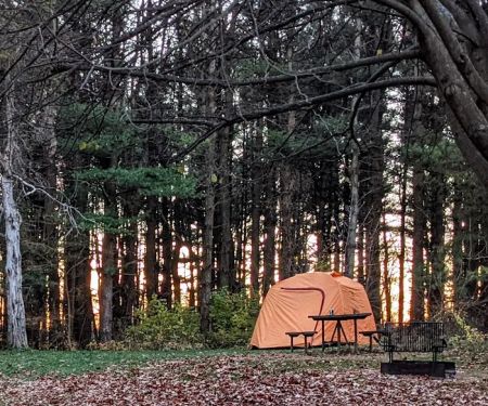 Cedar Ridge Family Campground