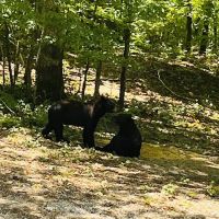 Outskirts of Heaven LLC RV Park & Cabins ico