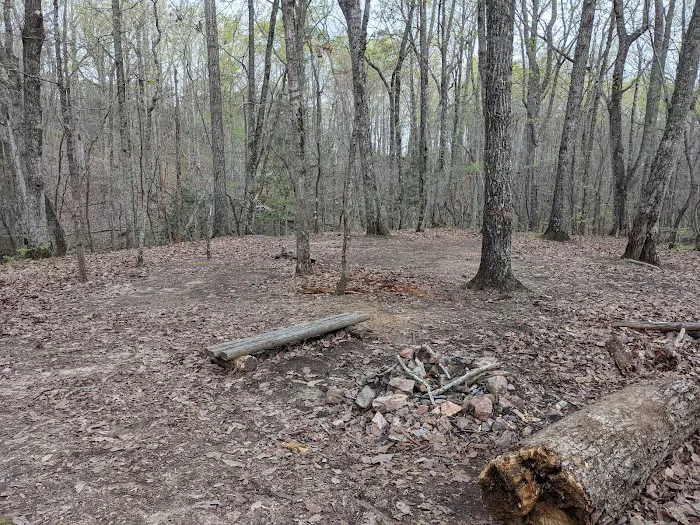 Jenkins Springs Campsite Picture 1