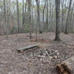 Jenkins Springs Campsite