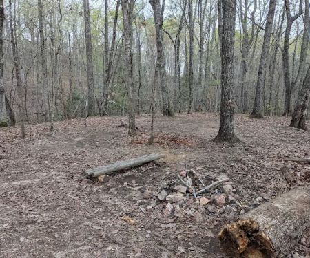 Jenkins Springs Campsite