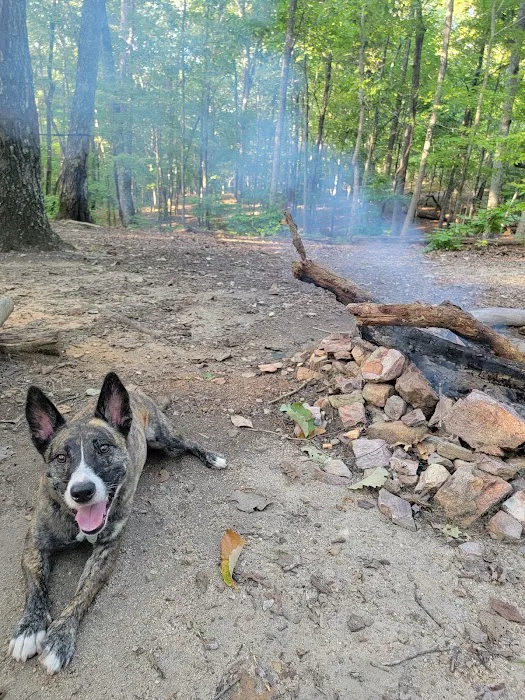 Jenkins Springs Campsite Picture 4
