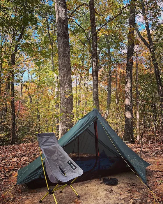 Jenkins Springs Campsite Picture 5