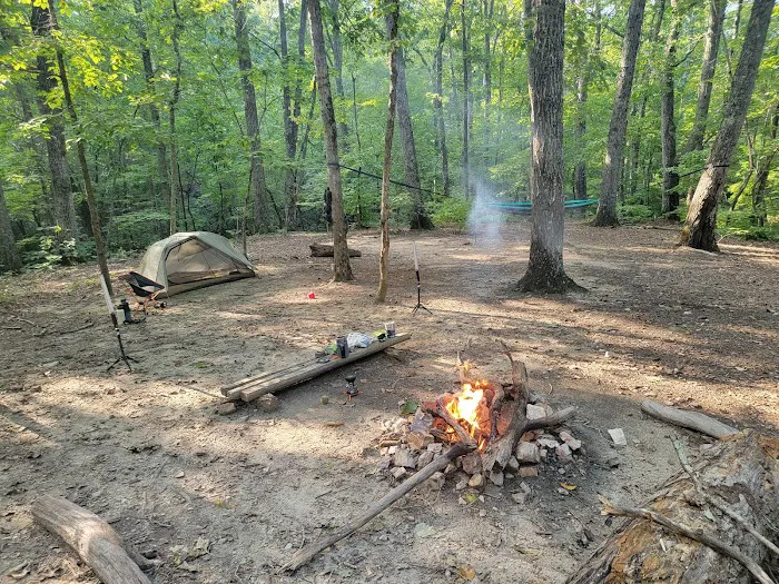 Jenkins Springs Campsite Picture 7