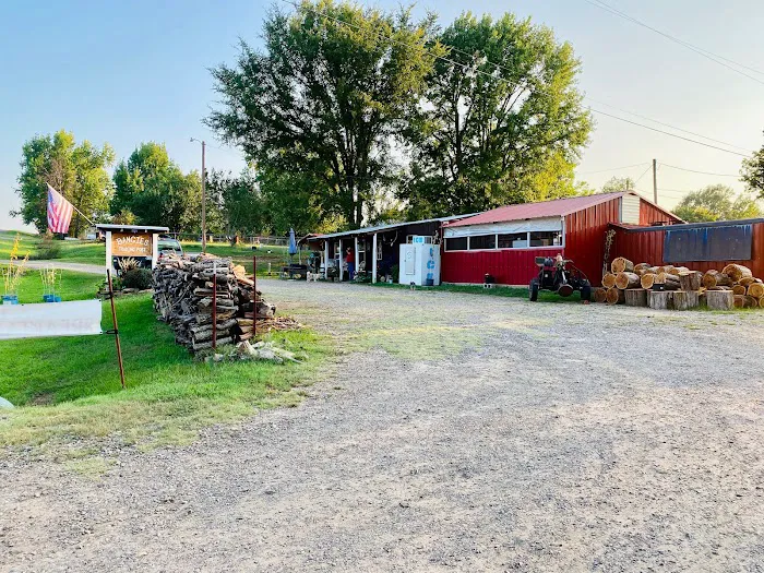 Shade Tree Rv Park Picture 4