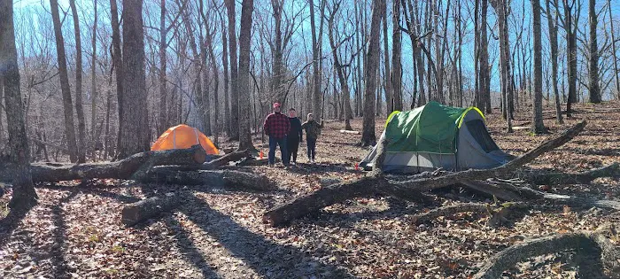Turtle Hollow Campsite Picture 1