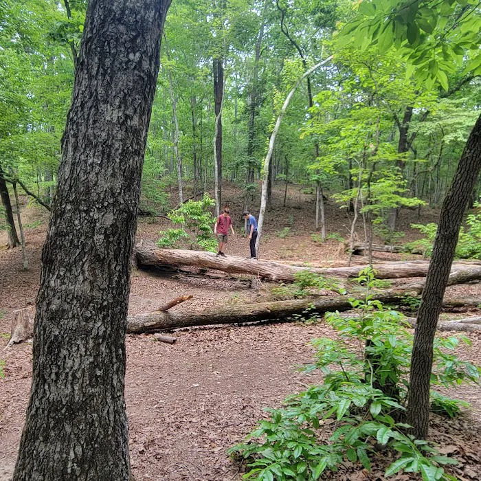 Turtle Hollow Campsite Picture 6