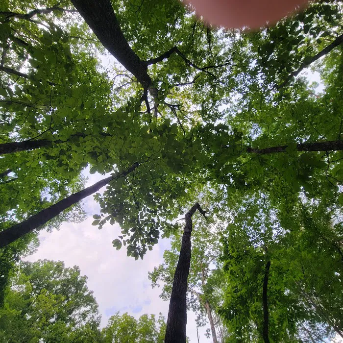 Turtle Hollow Campsite Picture 10