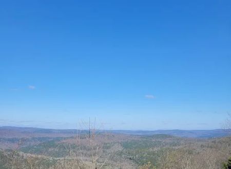 Mack's Pines