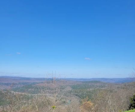 Mack's Pines