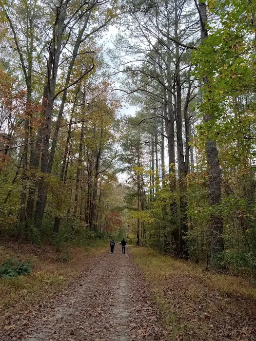 The Farm at Wilkerson Mill Camp Picture 2