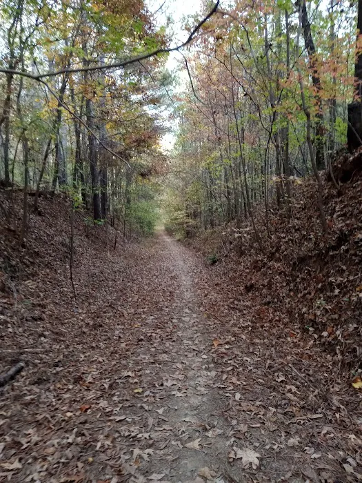 The Farm at Wilkerson Mill Camp Picture 1
