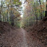 The Farm at Wilkerson Mill Camp ico