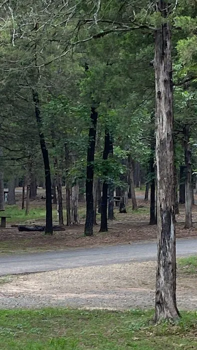 Shoal Bay RV & Campsites Picture 6