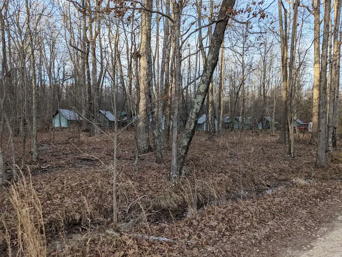 Campsite 4 (Buffalo) Picture 8