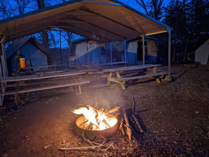 Campsite 4 (Buffalo) Picture 7