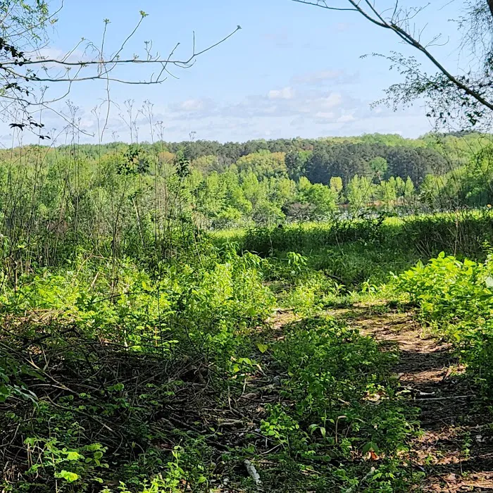 Tims Ford Fairview Campground Picture 2