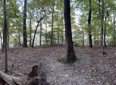 Tims Ford State Park Lost Creek Campsite