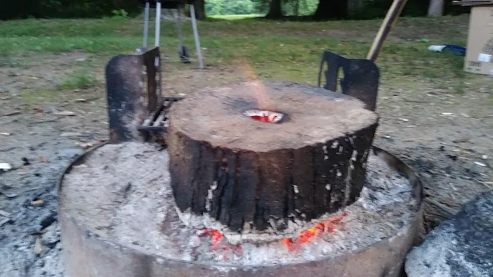 Tims Ford Turkey Creek Campground Picture 7