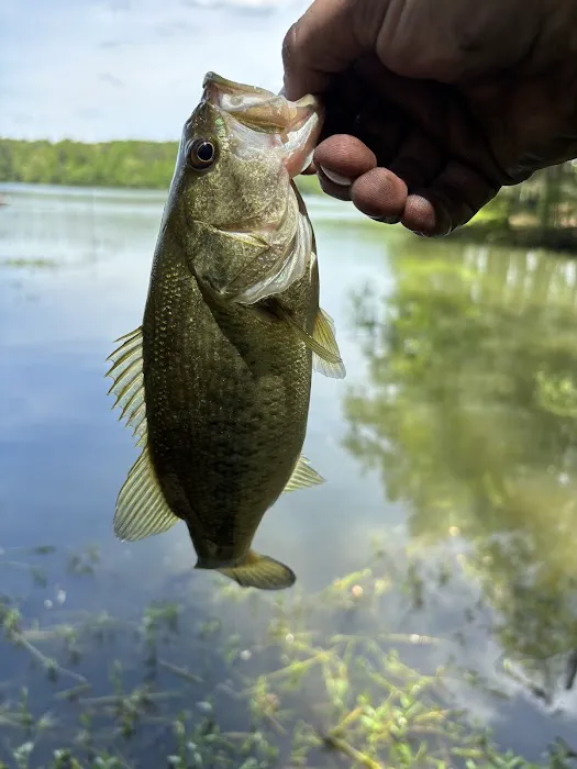 Dekalb County Public Lake Picture 5