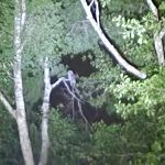 Riverside RV Park