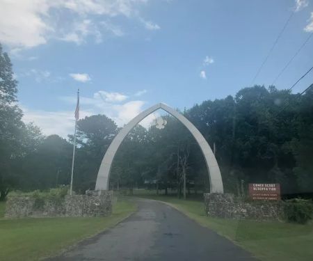 Campsite 10 (Panther)