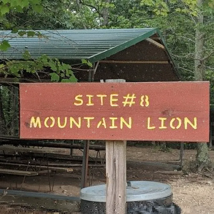 Campsite 8 (Mountain Lion) Picture 4