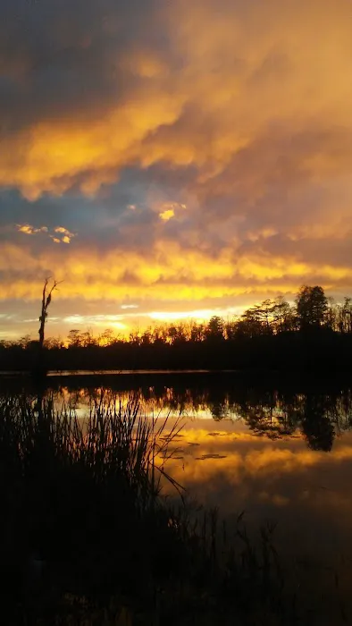 Little River RV Campground Picture 1