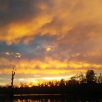 Little River RV Campground ico