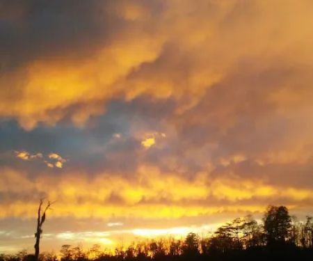 Little River RV Campground