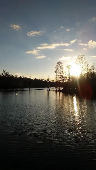 Little River RV Campground Picture 4