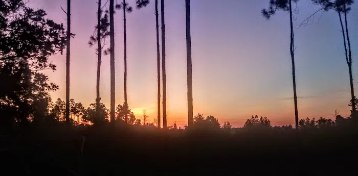 Whispering Pines RV Park and Campground Picture 2