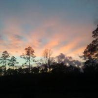 Whispering Pines RV Park and Campground ico