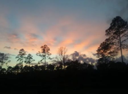 Whispering Pines RV Park and Campground