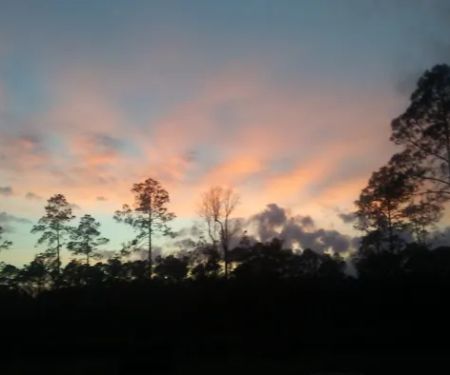 Whispering Pines RV Park and Campground