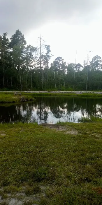 Whispering Pines RV Park and Campground Picture 3