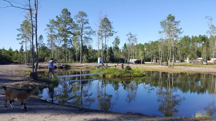 Whispering Pines RV Park and Campground Picture 8