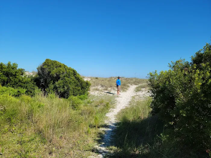 Stafford Beach Campground Picture 4