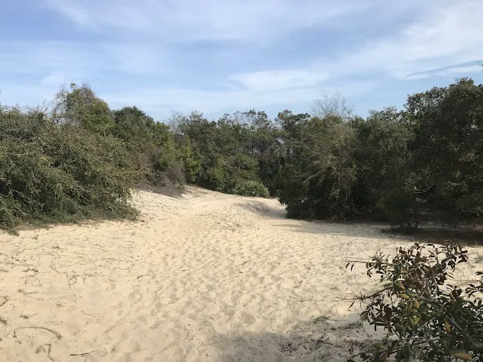 Stafford Beach Campground Picture 6