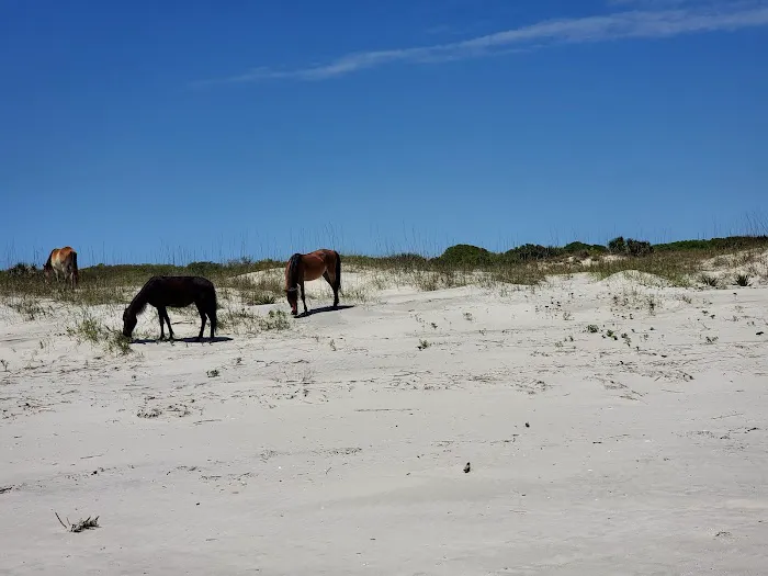 Stafford Beach Campground Picture 7