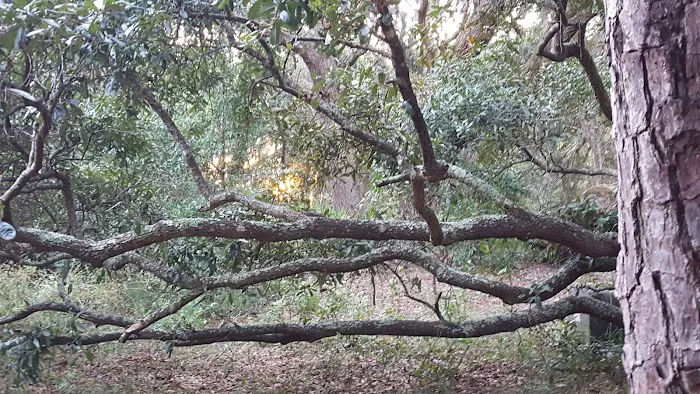 Stafford Beach Campground Picture 9