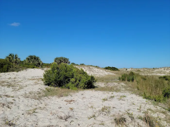Stafford Beach Campground Picture 5