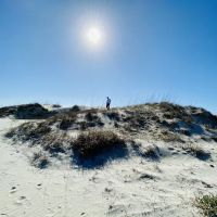 Sea Camp Campground ico