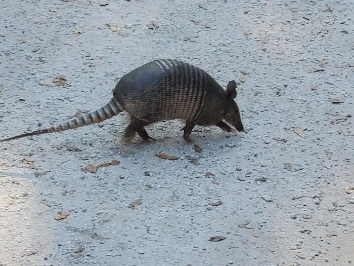Fort Clinch Amelia River Campground Picture 6