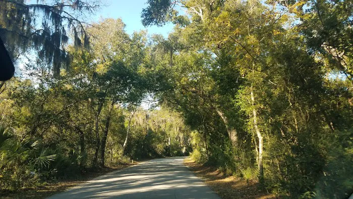 Fort Clinch Amelia River Campground Picture 7