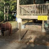 Country Oaks Campground & Rv ico