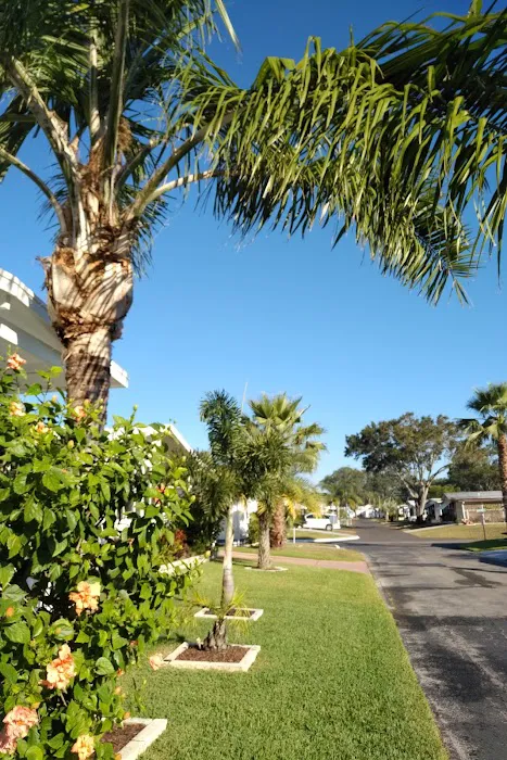 Country Aire Village Picture 4