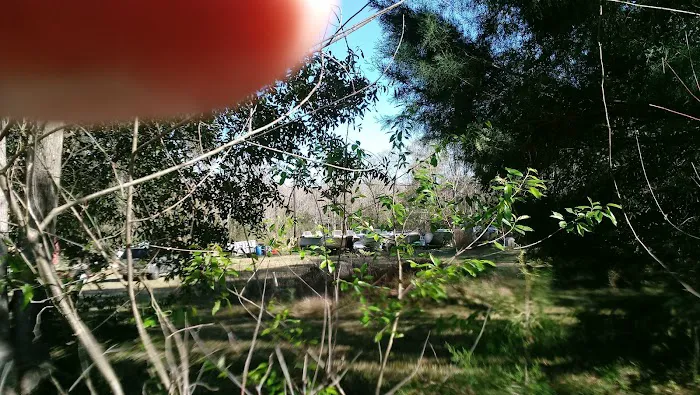 Lofton Creek Campground Picture 7