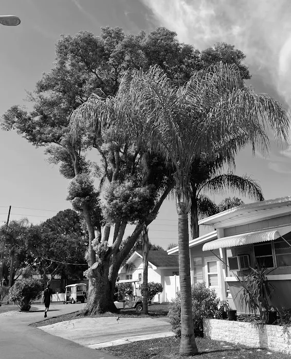 Tree Lane Village Mobile Home Park Picture 9