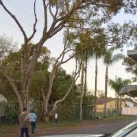 Tree Lane Village Mobile Home Park ico